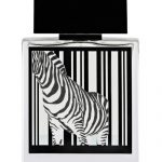 Rumz Al Rasasi 9325 Pour Lui By Rasasi EDP