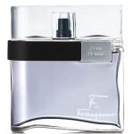 F Pour Homme By Salvatore Ferragamo